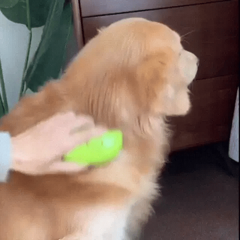 CEPILLO A VAPOR  PARA MASCOTAS ,CON PUERTO USB