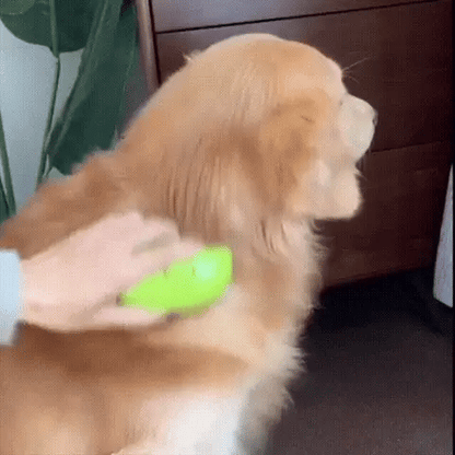 CEPILLO A VAPOR  PARA MASCOTAS ,CON PUERTO USB